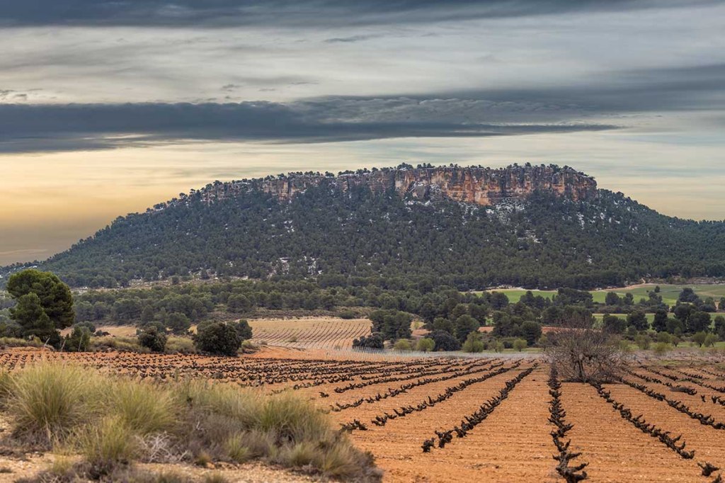 Mucha, mucha actividad.